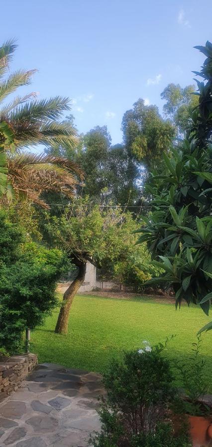 Villa Canu アルゲーロ エクステリア 写真